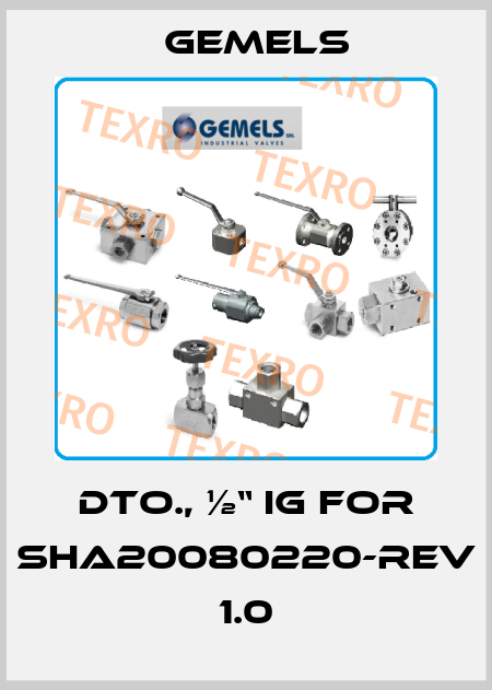 dto., ½“ IG for SHA20080220-REV 1.0 Gemels