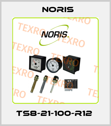 TS8-21-100-R12  Noris