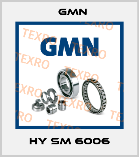 HY SM 6006 Gmn