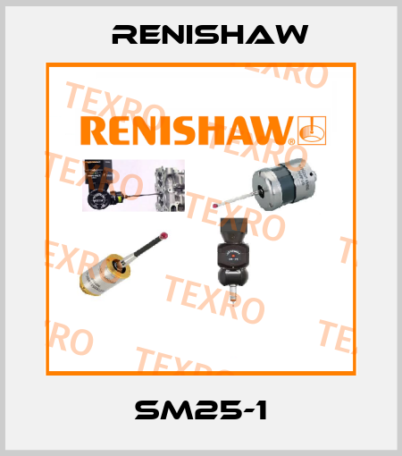 sm25-1 Renishaw