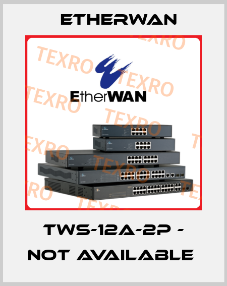 TWS-12A-2P - not available  Etherwan