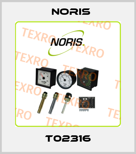 T02316 Noris