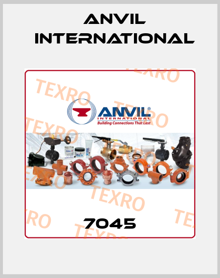 7045 Anvil International