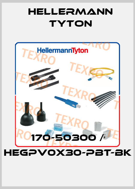 170-50300 / HEGPV0X30-PBT-BK Hellermann Tyton