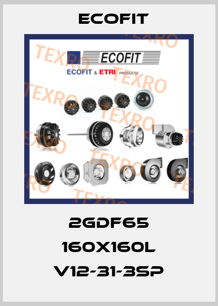 2GDF65 160x160L V12-31-3SP Ecofit