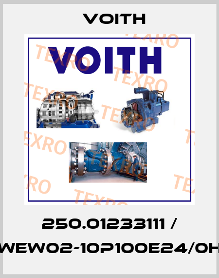 250.01233111 / WEW02-10P100E24/0H Voith