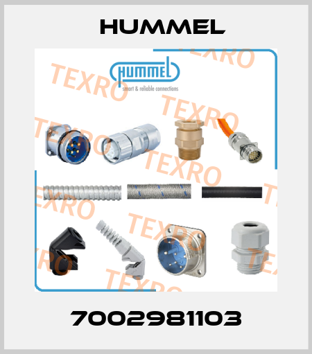 7002981103 Hummel