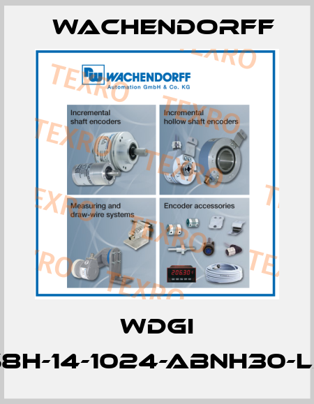 WDGI 58H-14-1024-ABNH30-L3 Wachendorff