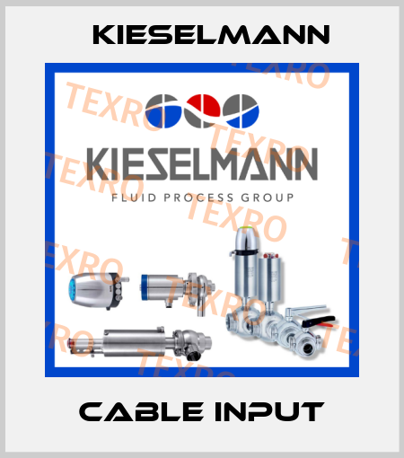 Cable input Kieselmann