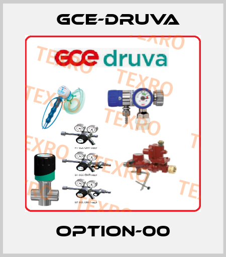 Option-00 Gce-Druva