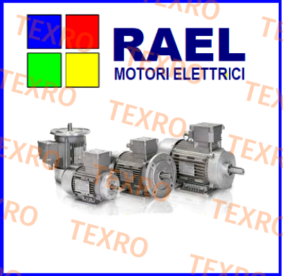 Type V80 TC4 RAEL MOTORI ELETTRICI