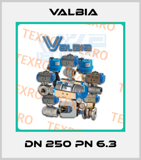 DN 250 PN 6.3 Valbia