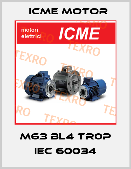 M63 BL4 TR0P IEC 60034 Icme Motor