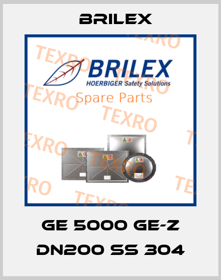 GE 5000 GE-Z DN200 SS 304 Brilex