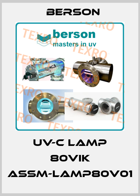 UV-C LAMP 80VIK ASSM-LAMP80V01 Berson