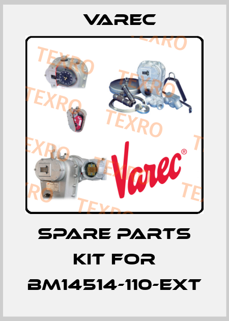 spare parts kit for BM14514-110-EXT Varec