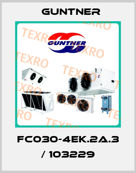 FC030-4EK.2A.3 / 103229 Guntner