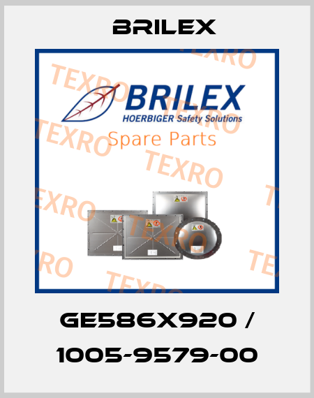 GE586X920 / 1005-9579-00 Brilex