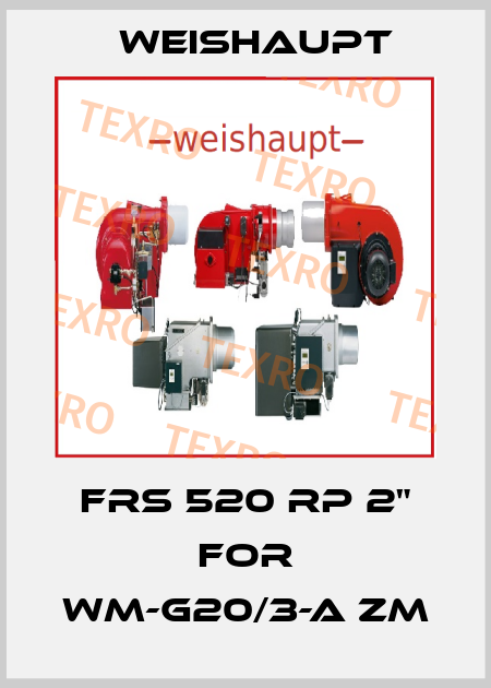 FRS 520 Rp 2" for WM-G20/3-A ZM Weishaupt