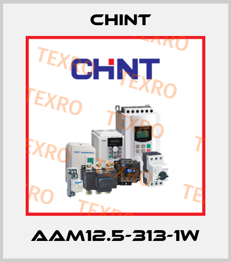 AAM12.5-313-1W Chint