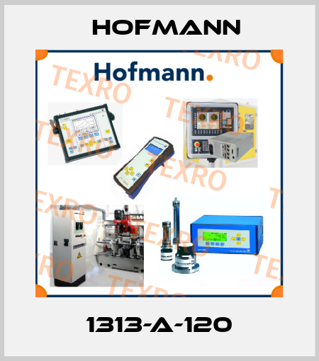 1313-A-120 Hofmann