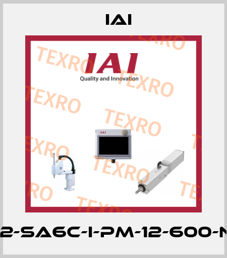 ERC2-SA6C-I-PM-12-600-NP-P IAI