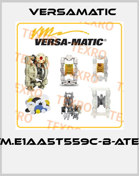 VM.E1AA5T559C-B-ATEX  VersaMatic