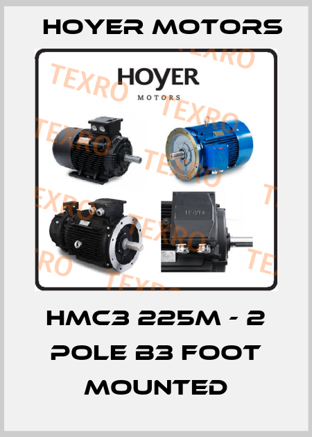 HMC3 225M - 2 pole B3 foot mounted Hoyer Motors