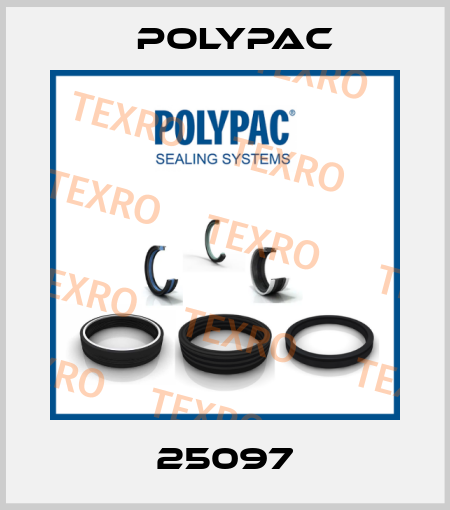 25097 Polypac