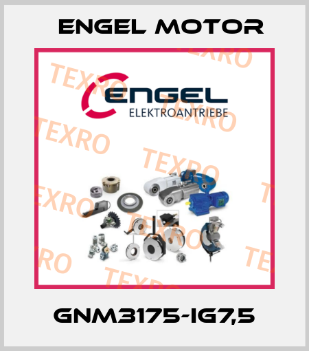 GNM3175-IG7,5 Engel Motor