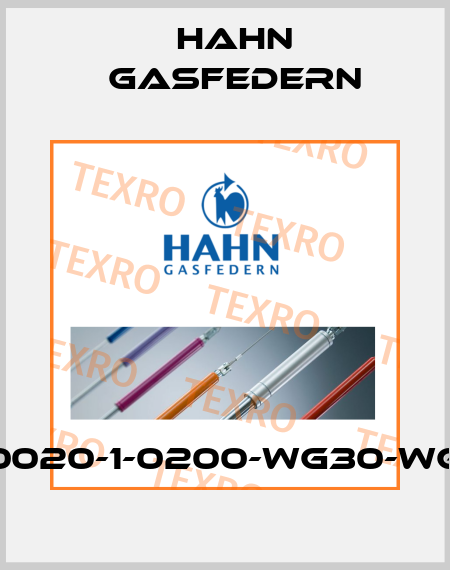 Z10-28-0020-1-0200-WG30-WG30-400 Hahn Gasfedern