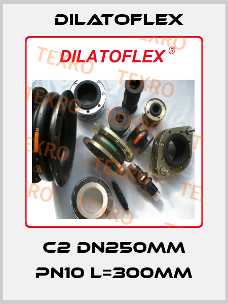 C2 DN250mm PN10 L=300mm DILATOFLEX