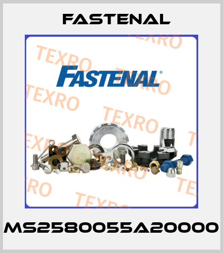 MS2580055A20000 Fastenal