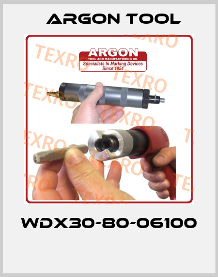 WDX30-80-06100  Argon Tool
