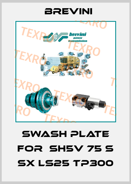 Swash plate for  SH5V 75 S SX LS25 TP300 Brevini