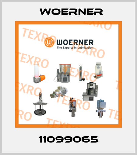 11099065 Woerner