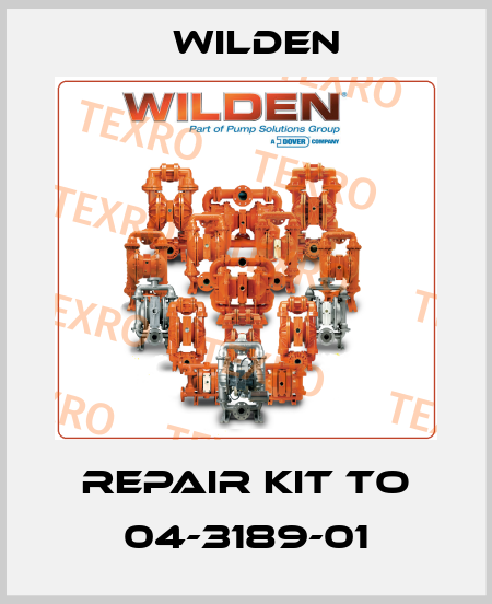repair kit to 04-3189-01 Wilden