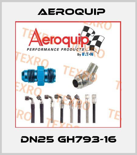 DN25 GH793-16 Aeroquip