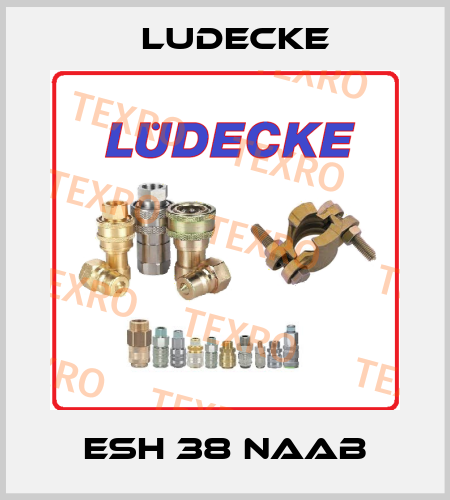 ESH 38 NAAB Ludecke