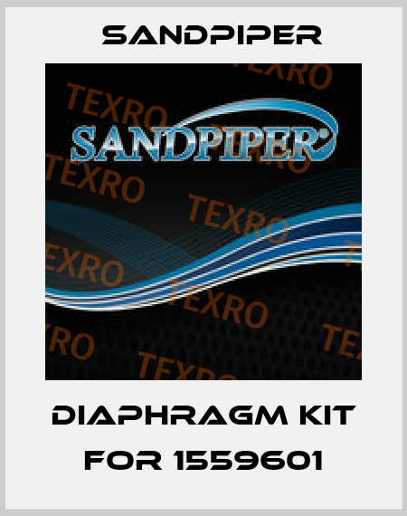 DIAPHRAGM KIT FOR 1559601 Sandpiper