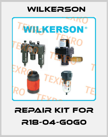 repair kit for R18-04-G0G0 Wilkerson