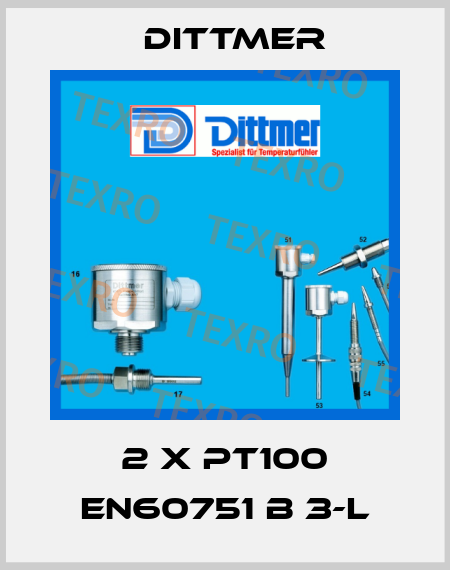 2 x PT100 EN60751 B 3-L Dittmer