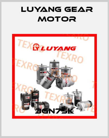 3GN75K Luyang Gear Motor