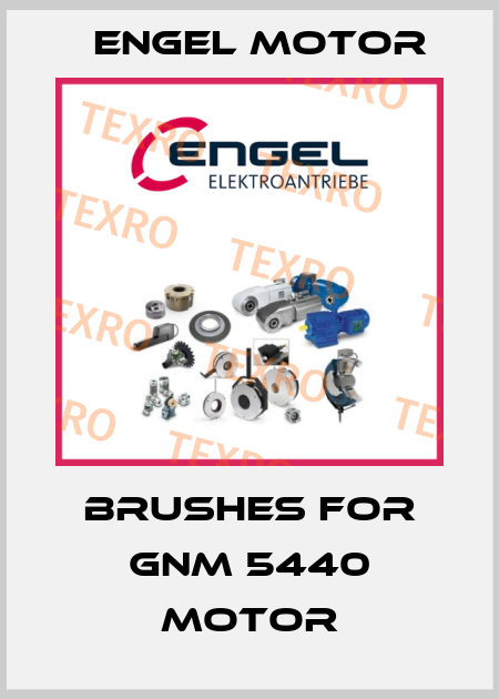 Brushes for GNM 5440 Motor Engel Motor
