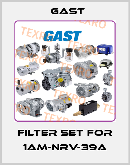 Filter set for 1AM-NRV-39A Gast