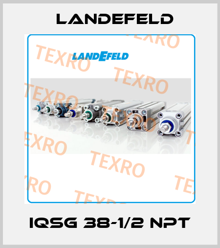 IQSG 38-1/2 NPT Landefeld
