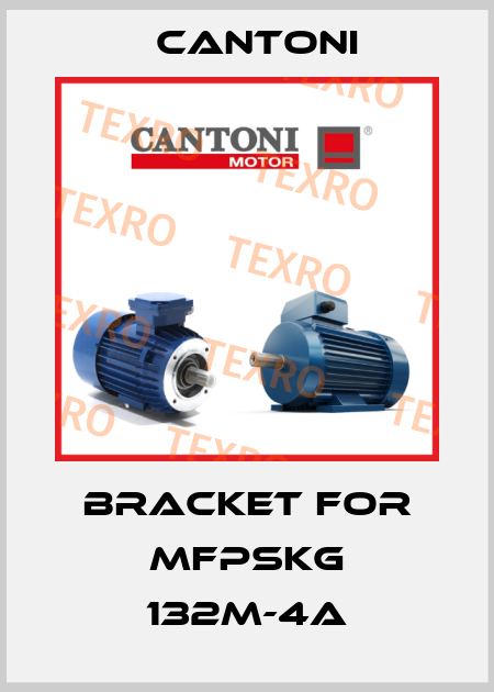 bracket for mFPSKg 132M-4A Cantoni