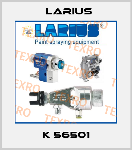 K 56501 Larius