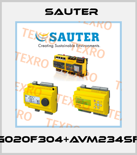 VUG020F304+AVM234SF132 Sauter