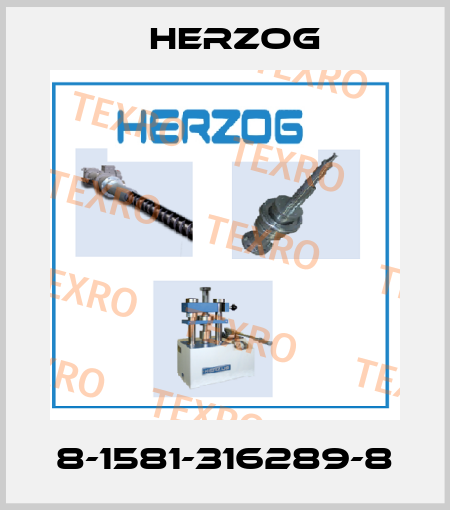8-1581-316289-8 Herzog
